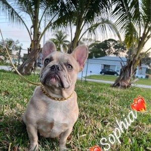 Meet your Posher, Alaa